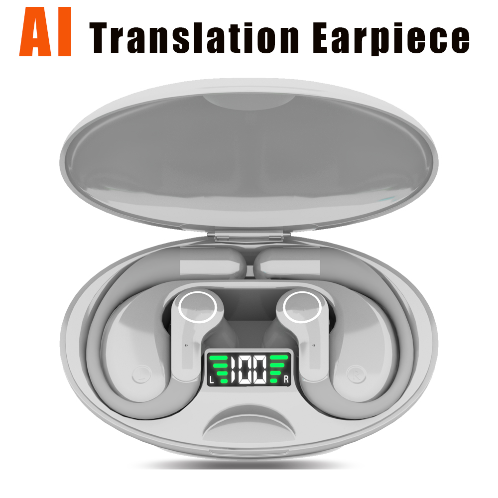 KI-Übersetzer-Ohrhörer: Echtze – Earbuds Charging Case Bewertung und Preis